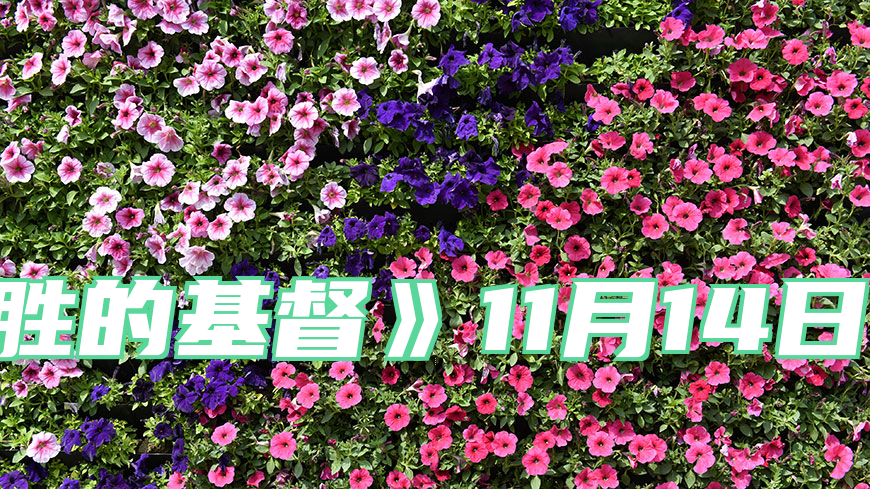 《得胜的基督》11月14日　至死忠心