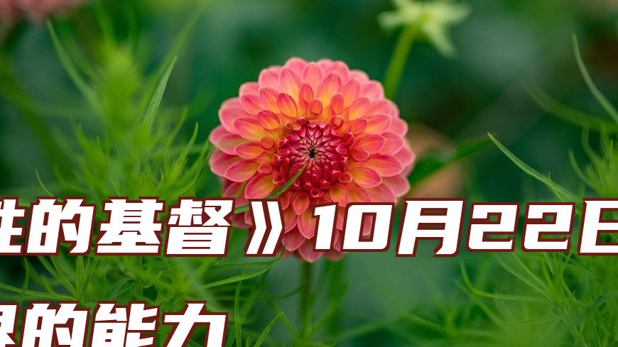 《得胜的基督》10月22日　那震撼世界的能力