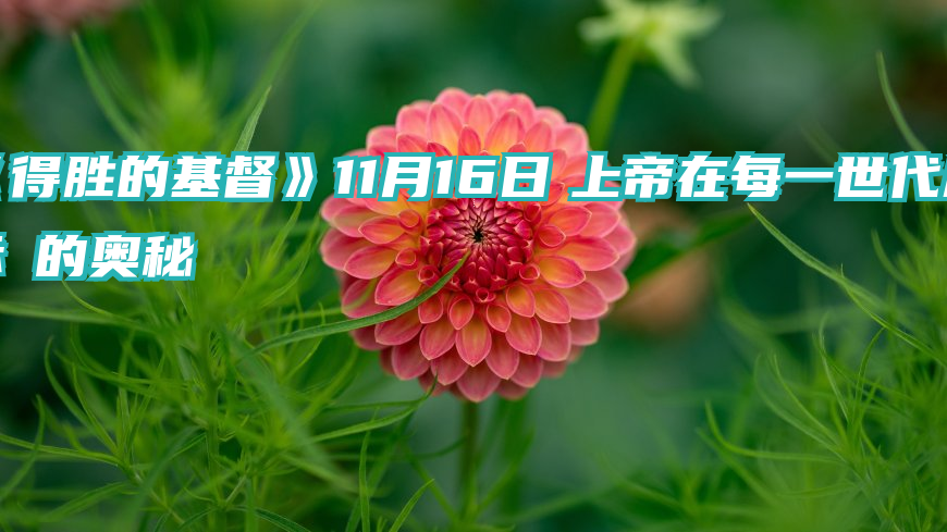 《得胜的基督》11月16日　上帝在每一世代启示祂的奥秘