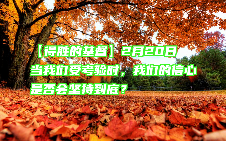 【得胜的基督】2月20日　当我们受考验时，我们的信心是否会坚持到底？