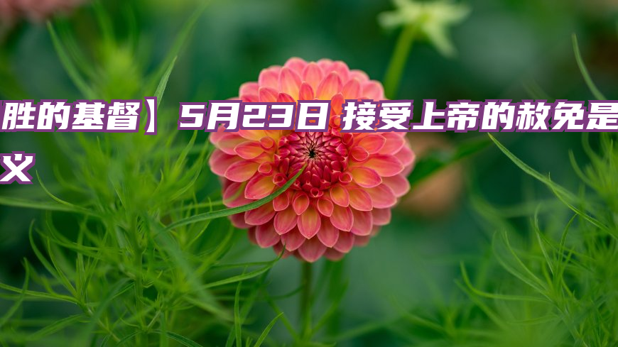 【得胜的基督】5月23日　接受上帝的赦免是接受祂的称义